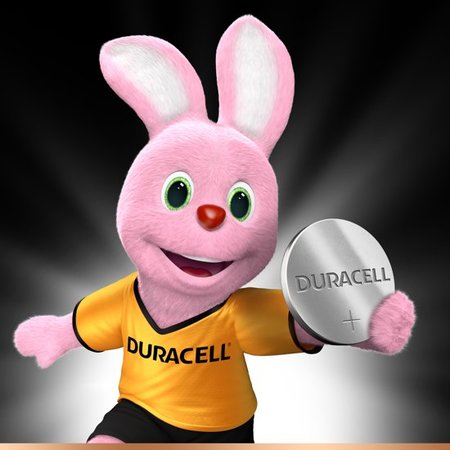 Duracell DL2450 Lithium Cel Batterij 3V