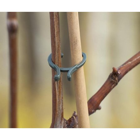 NATURE Plantenringen Groen, 40 Stuks