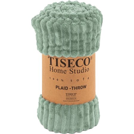 TISECO Microflannel Ribble - 130x160cm, Groen