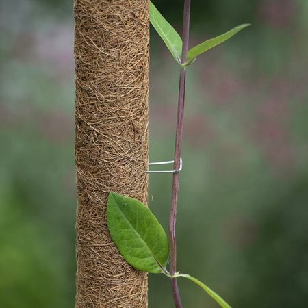 NATURE Krammen voor Kokosplantstok, 30mm, 10 Stuks