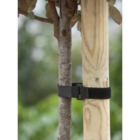 NATURE Boomband met Klittenband en Gesp, 40x2,5cm, Zwart, 2 Stuks