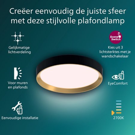 PHILIPS Plafondlamp 'Hanno' - LED Rond 24W Zwart/Goudkleurig