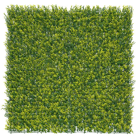 Van Den Nest Nortene Tuinafscherming Vertical Buxus X M